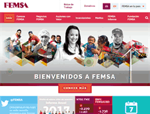 Tablet Screenshot of femsa.com